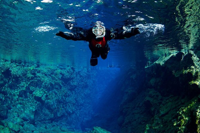 Silfra: Snorkeling Between Tectonic Plates Pick Up from Reykjavik - Price and value: what you pay for at $225