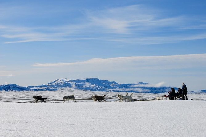 Small Group Husky Sledding Tour from Capital Region - Key things to know before you go