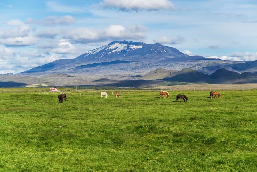 South Coast Classic: Full-Day Tour from Reykjavik - Key Stops That Make This Tour Worth It