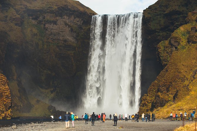 South Coast Day Tour Black Sand Beach & Waterfalls from Reykjavik - Solheimajokull glacier walk: time at the edge and touching ice