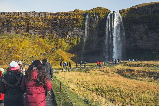 South Coast Day Tour Black Sand Beach & Waterfalls from Reykjavik - Bus comfort, WiFi, and what your day really needs