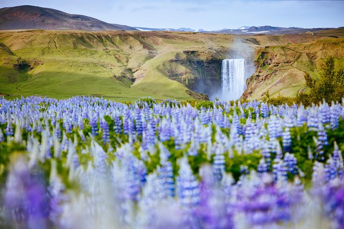 South Coast Iceland from Reykjavik with Guide & Touchscreen Audio - Seljalandsfoss and Sólheimajökull: Walking Water and Ice-World Photos