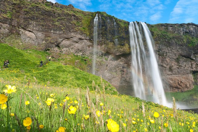 South Coast Sagas: Small Group Tour with Pick-up from Reykjavik - Sólheimajökull Glacier Viewing Without Hiking