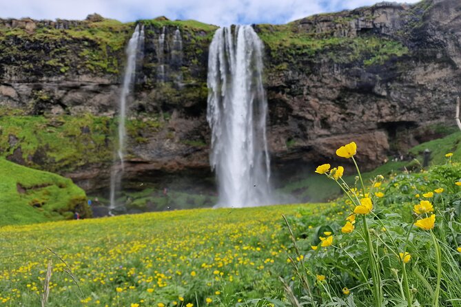South Iceland, Glacier and Black Sand Beach Small Group Tour - Pickup and the First 30 Minutes: How to Avoid the Stress