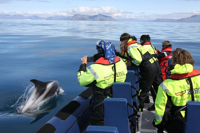 Speedboat Whale Watching Small-Group Tour in Reykjavik - The gear list you actually care about (and what to watch for)
