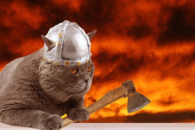 The Reykjavik Cat Walking Tour - Reykjavik Cat Walking Tour: how the cat focus also teaches the city