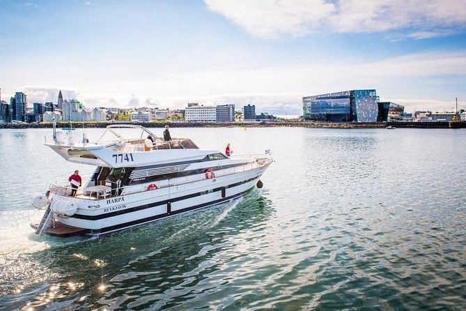 Whale Watching & Dolphin Yacht Cruise - Key Things I’d Watch For On This Cruise