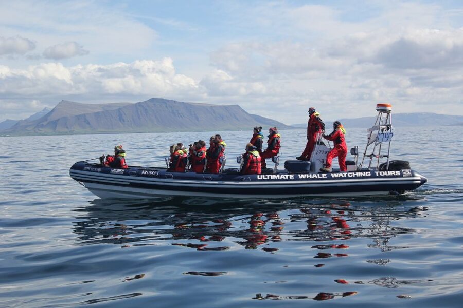 Whale Watching in Reykjavik by Speedboat - Shock seats, speed, and what comfort really means on open water