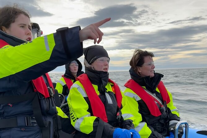 Whale Watching - RIB Boat Adventure in Kopavogur, Iceland - BLIKI RIB boat ride: speed you can feel, comfort you can trust