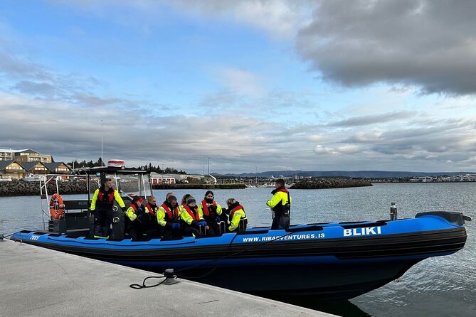 Whale Watching - RIB Boat Adventure in Kopavogur, Iceland - How the whale and dolphin search really works (about 60 minutes)