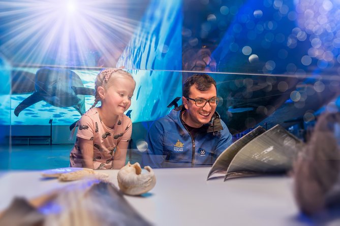 Whales Of Iceland Admission Ticket - Fin Whale Theatre: the movies are part of the ticket