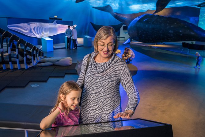Whales Of Iceland Admission Ticket - Getting there from central Reykjavik, plus nearby stop pairing