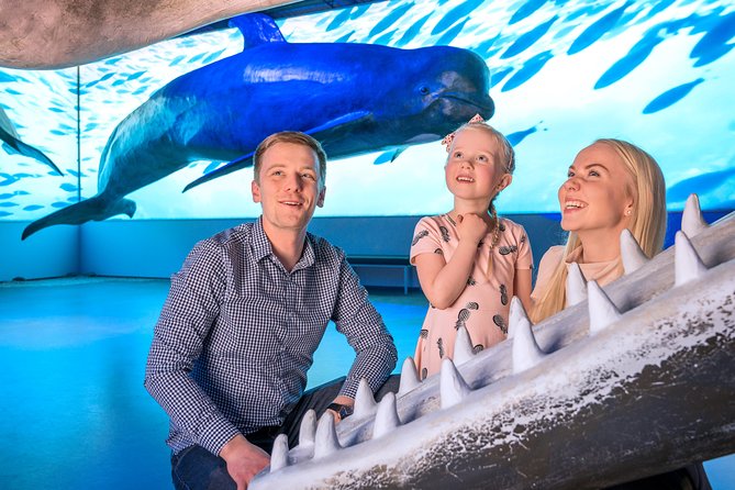 Whales Of Iceland Admission Ticket - The one drawback to watch: size expectations and what you do with your time