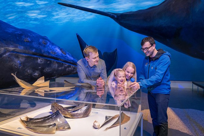 Whales of Iceland from Land and Sea - Reykjavik Old Harbor plus museum time, how the day really flows