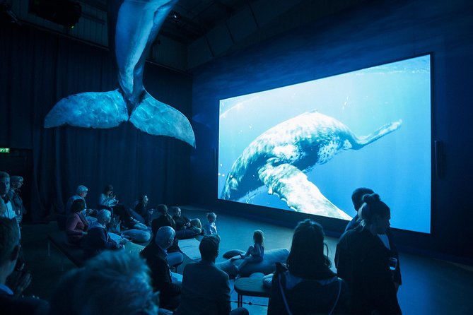 Whales of Iceland from Land and Sea - Whales of Iceland museum: Europe’s largest whale exhibition