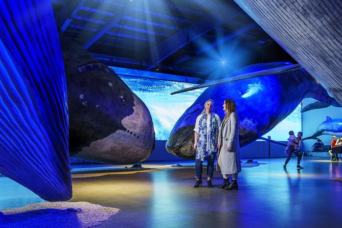 Whales of Iceland from Land and Sea - Who this works best for (and who should think twice)